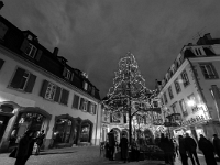 Colmar